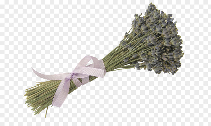 Lavender Bouquet Flower PNG
