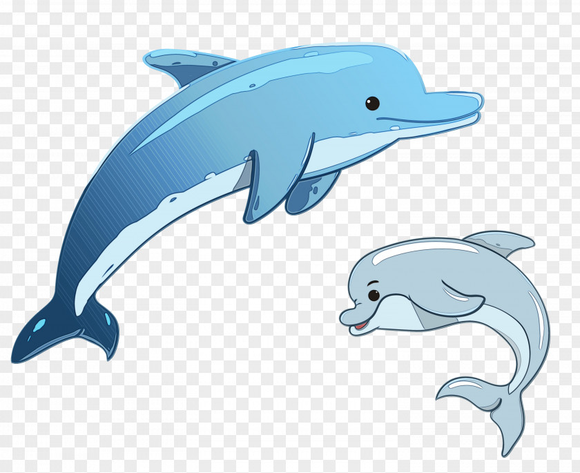 Spotted Dolphin Stenella Short-beaked Common Cartoon Whales Drawing PNG