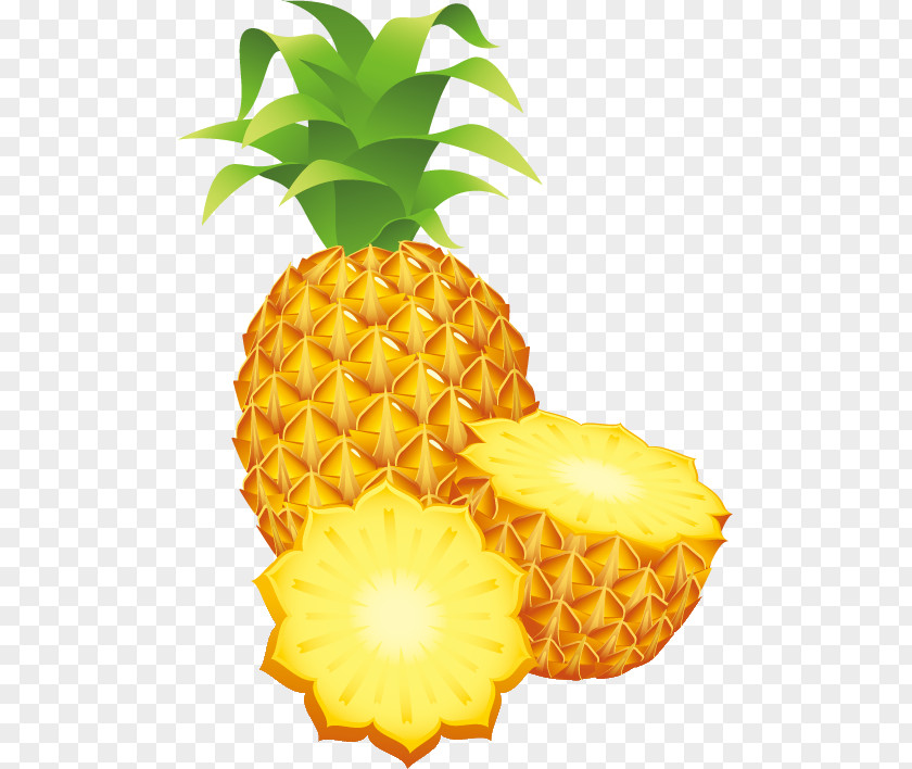 Summer Season Pineapple Drawing Clip Art PNG
