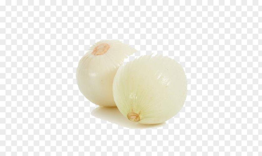 White Onion Organic Food Shallot PNG
