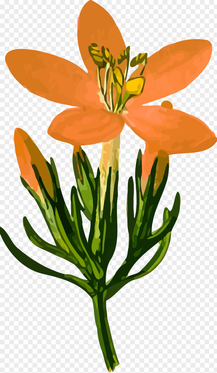 Flower Drawing Gentian Clip Art PNG