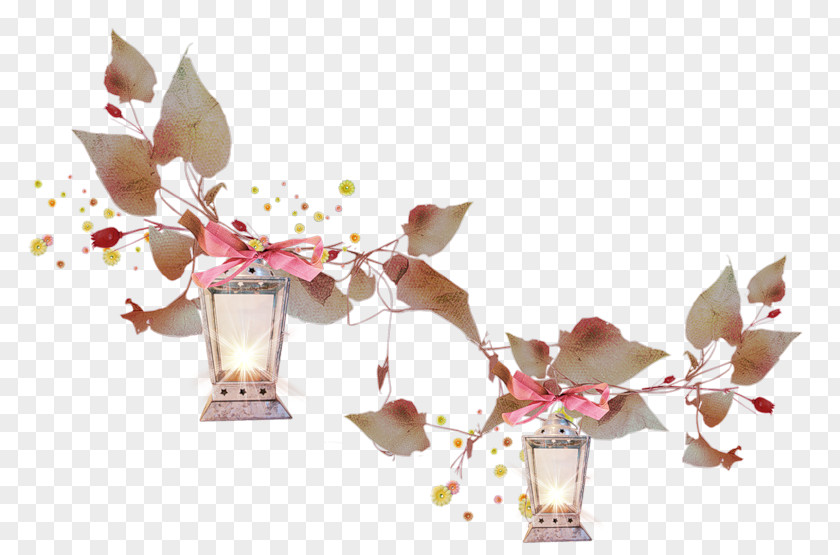 Magnolia Petal Christmas Gift Cartoon PNG