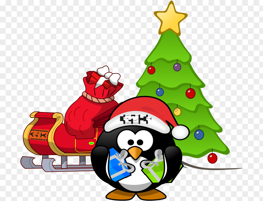 Pine Family Conifer Christmas Penguin Drawing PNG