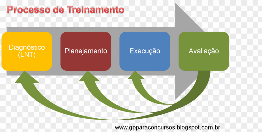 Prodip Processo Logo Organization Training Human Resource Management PNG