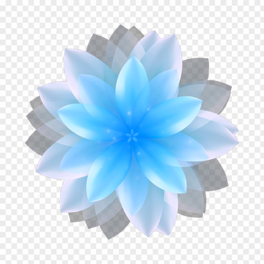 Summer Model Abstract Blue Teal Petal Flower Image Borders And Frames Clip Art PNG
