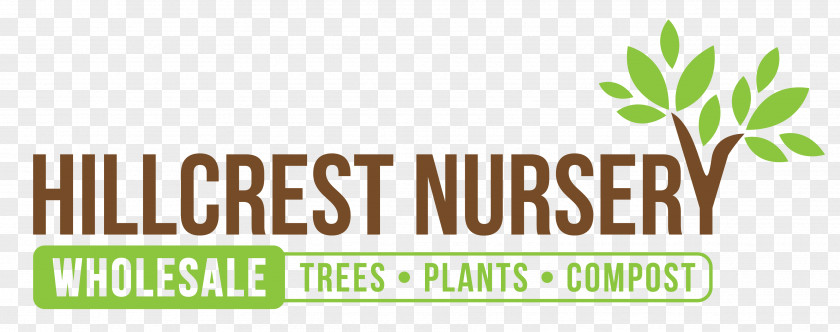 Tree Hillcrest Nursery Men Without Women PNG