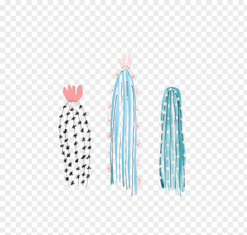 Cactus Paper Drawing Illustration PNG