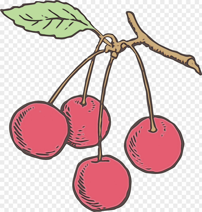 Drupe Tree Fruit Cherry Plant Leaf Pink PNG