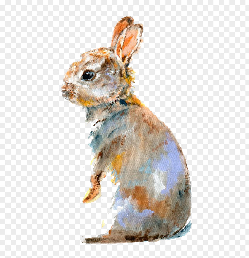 Rabbit Lionhead Domestic Bugs Bunny Watercolor Painting PNG