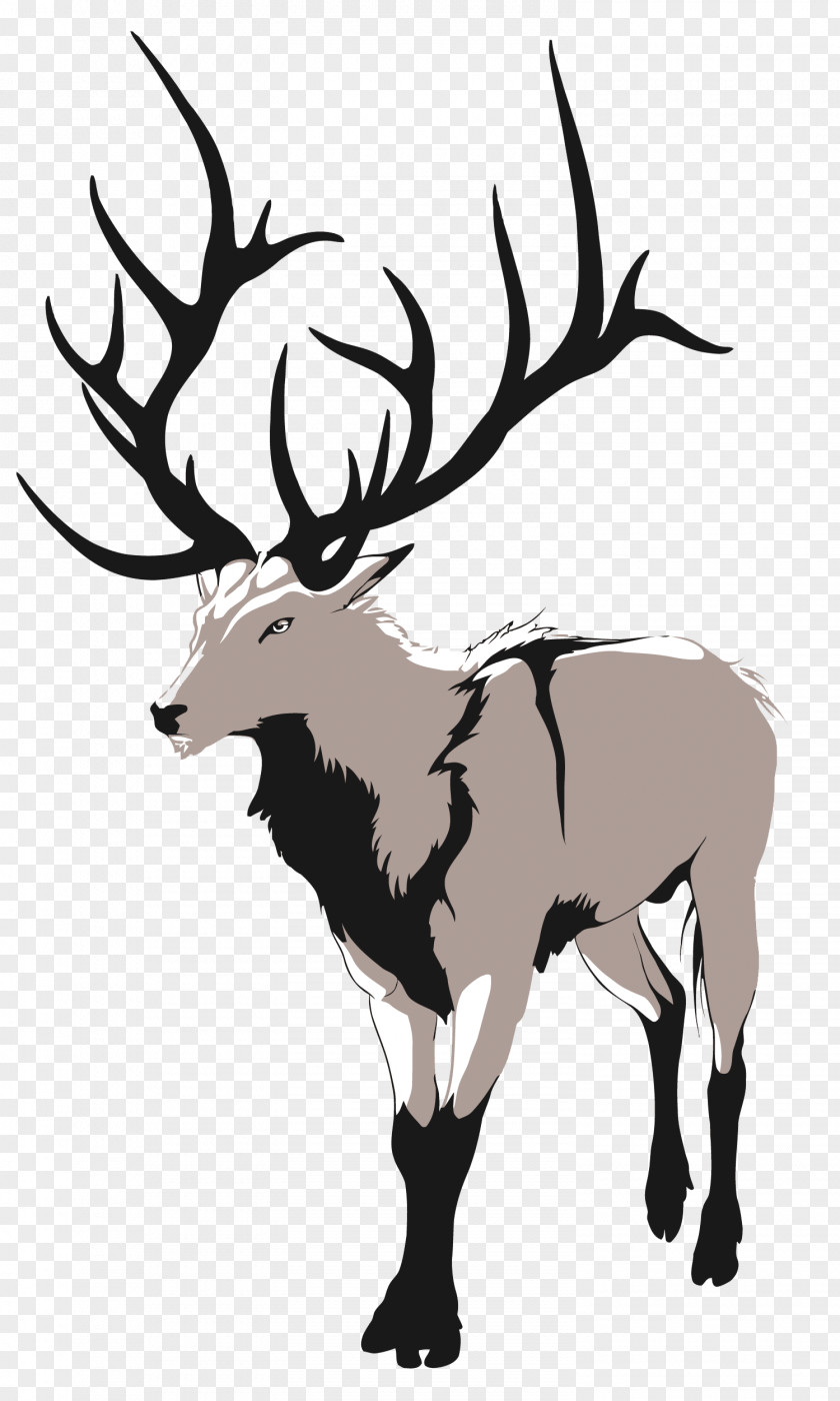Vector Cartoon Deer Red Artemis Drawing PNG