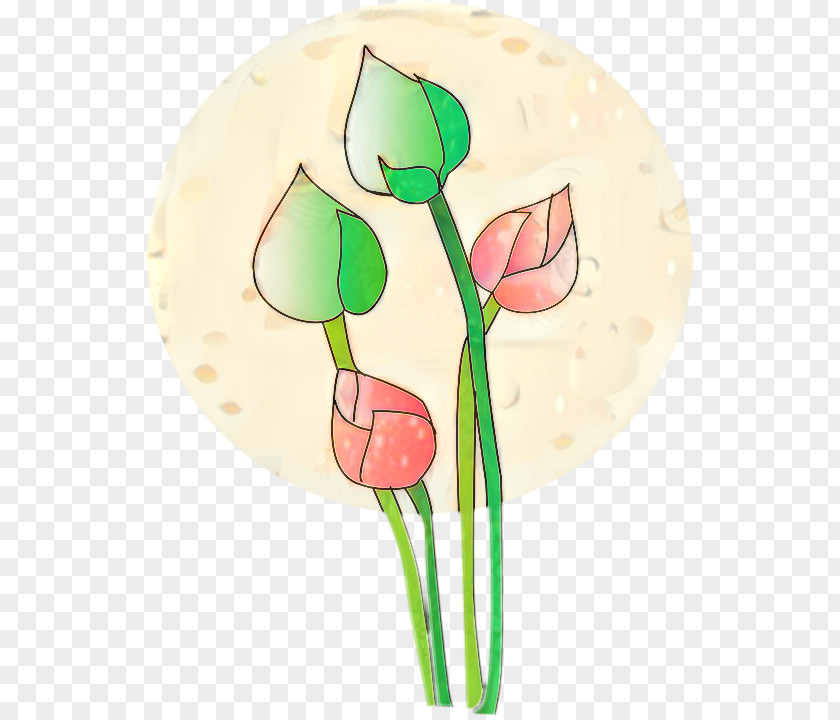 Arum Family Lily Flower Cartoon PNG