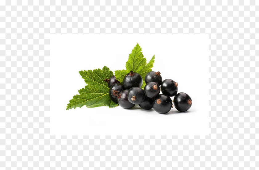 Blackcurrant Redcurrant Berry Flavor Stock Photography PNG
