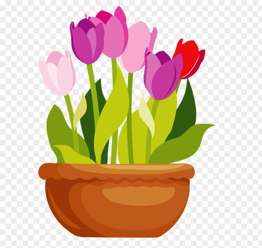 Flower Pot Flowerpot Tulip Color Vase PNG