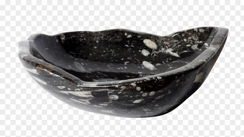 Glass Orthoceras Fossil PNG