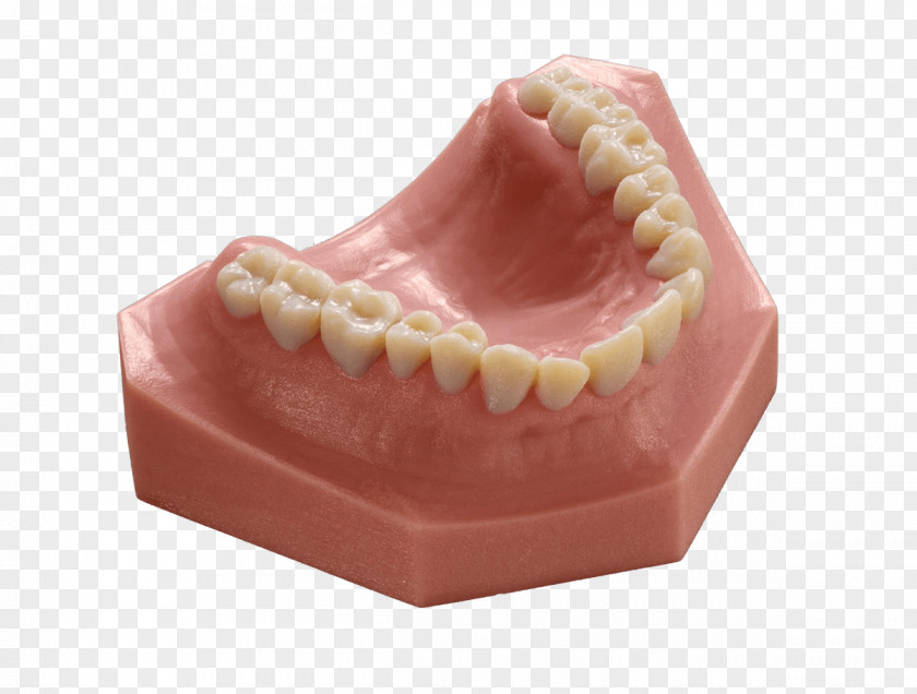 Printer Dentistry Stratasys 3D Printing Orthodontics PNG