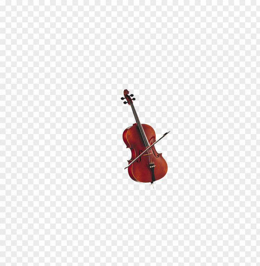 Beautiful Violin Cello PNG