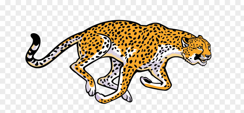 Cheetah Vector Graphics Clip Art Leopard Sticker PNG