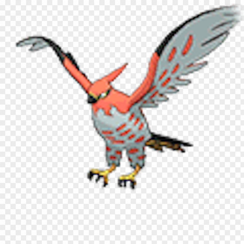 Talonflame Fletchinder Gale Wings Fletchling Video Games PNG