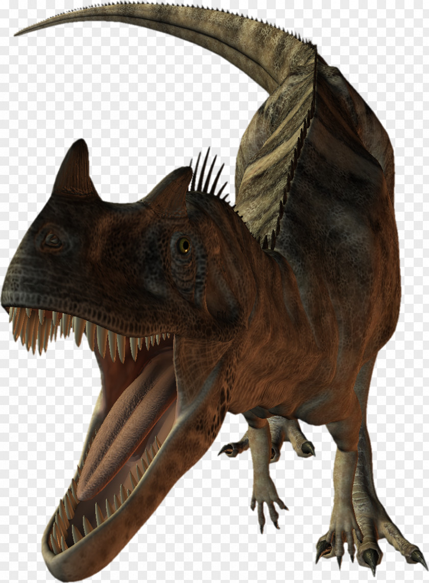 Dinosaur Tyrannosaurus Velociraptor Reptile Megasaurus PNG