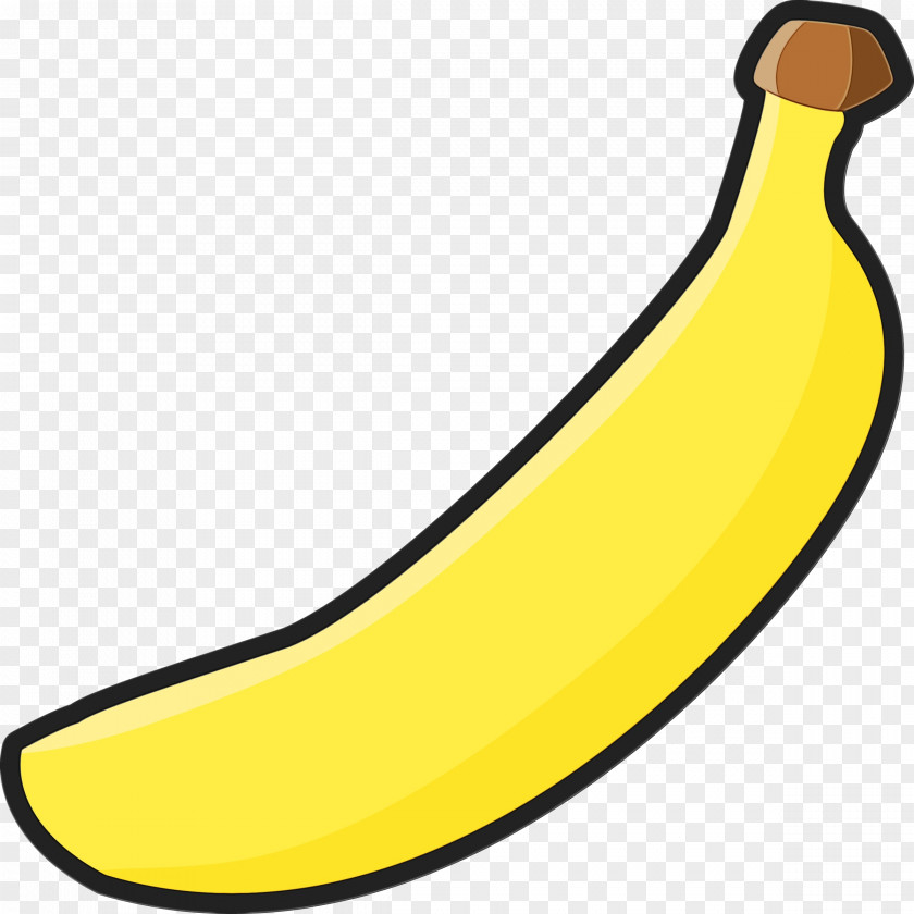 Plant Saba Banana Drawing Of Family PNG