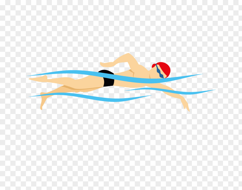 Vector Swimming Euclidean Illustration PNG