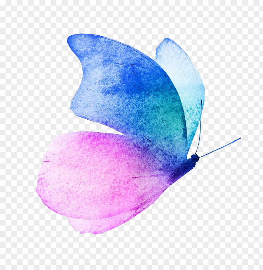Butterfly Watercolor Painting Image Royalty-free PNG