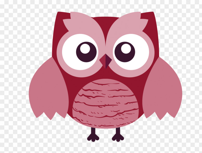 Cute Owl T-shirt Cartoon PNG