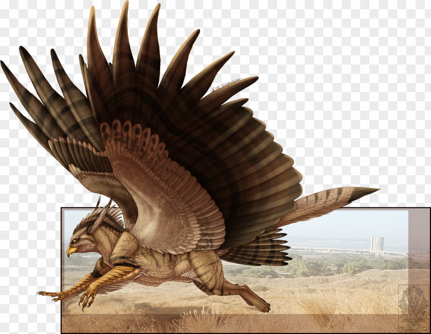 Dynamic Fashion Color Shading Background Eagle Griffin DeviantArt Hawk PNG