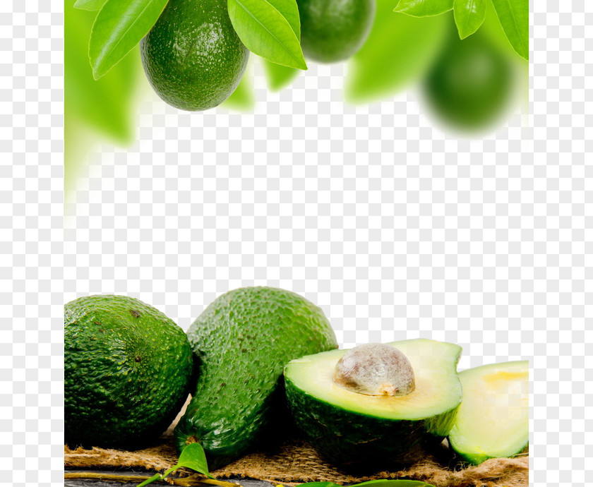 Green Avocado Oil Food Google Images PNG
