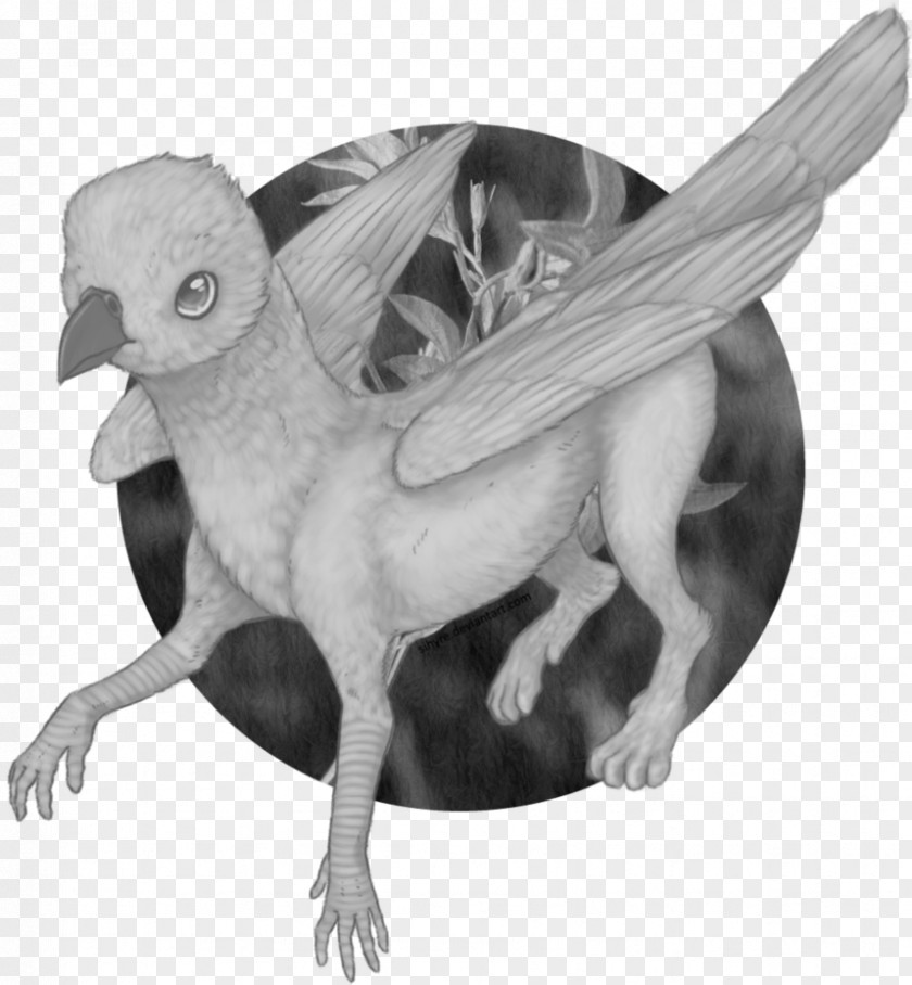You're Great Beak Bird Of Prey Feather Legendary Creature PNG