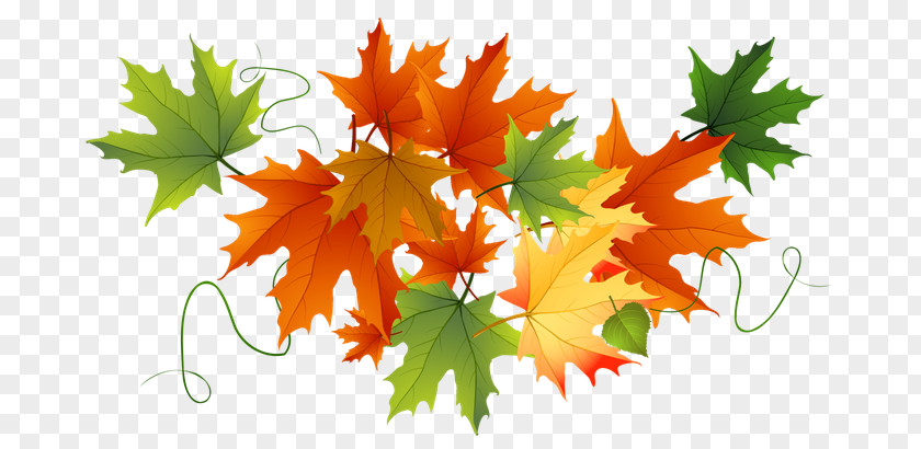 Autumn Clip Art Leaf Color Image PNG