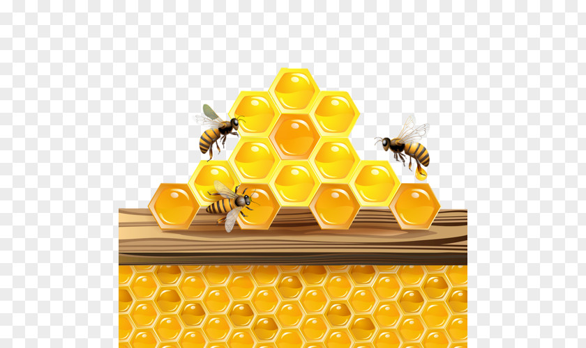 Bee Western Honey Honeycomb Insect PNG