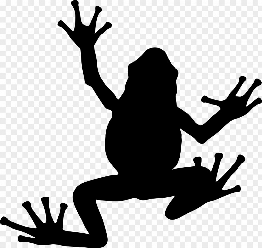 Black Pasture Silhoute Tree Frog Silhouette Toad PNG