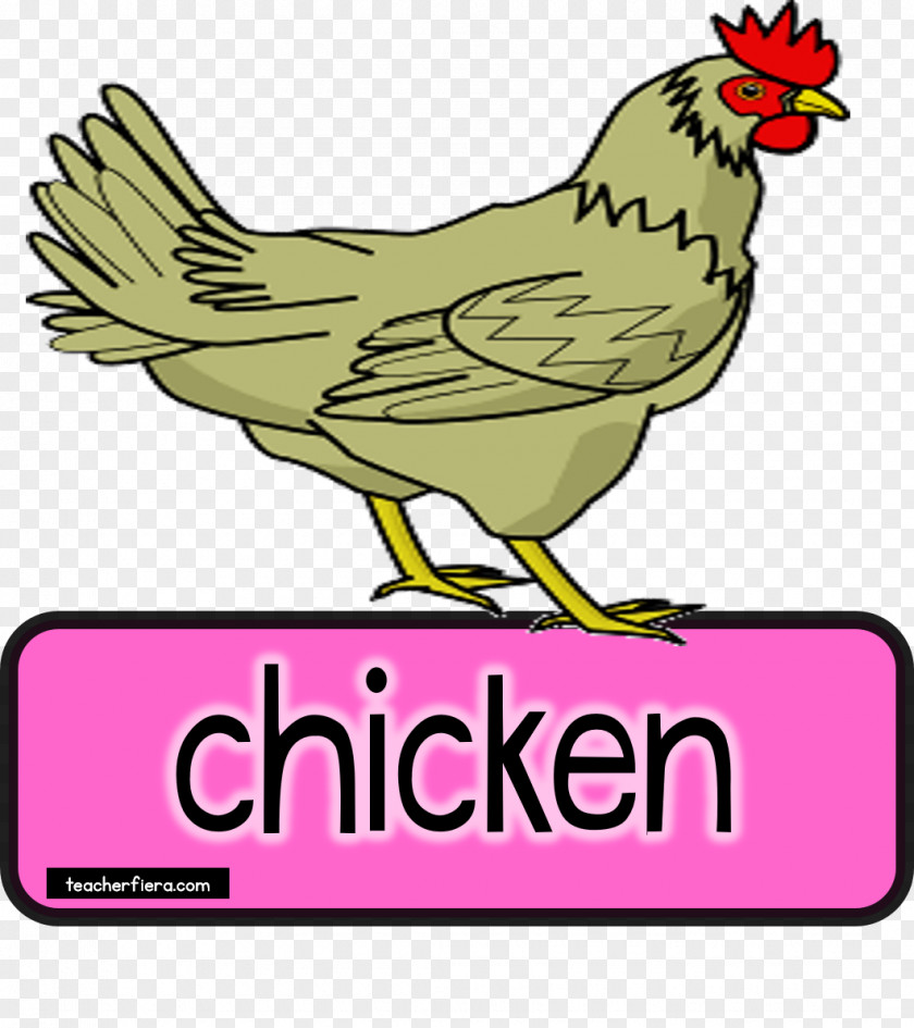 Chicken Rooster Paper Clip Art PNG