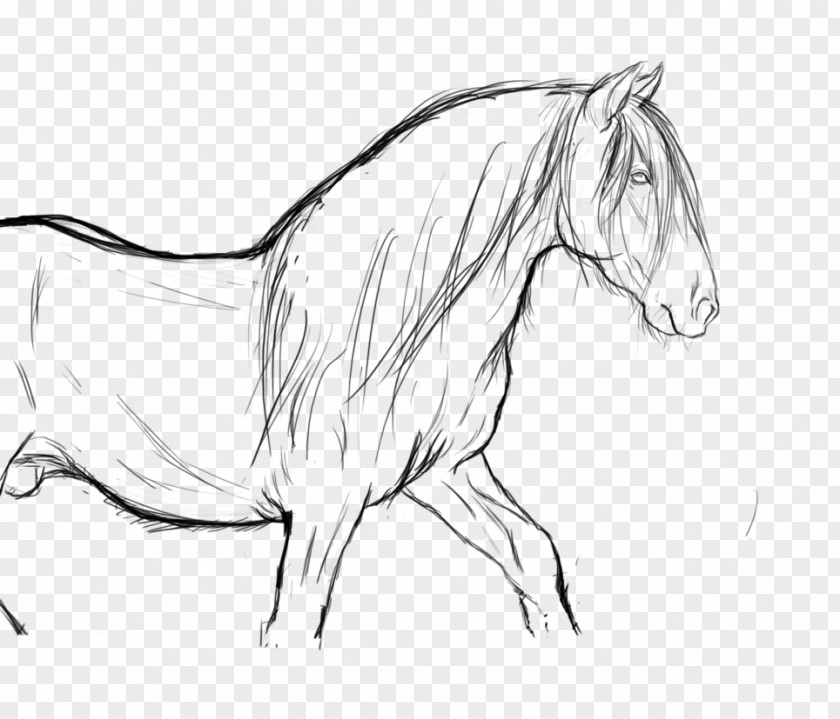City Line Art Arabian Horse Stallion Mustang Mane Sketch PNG