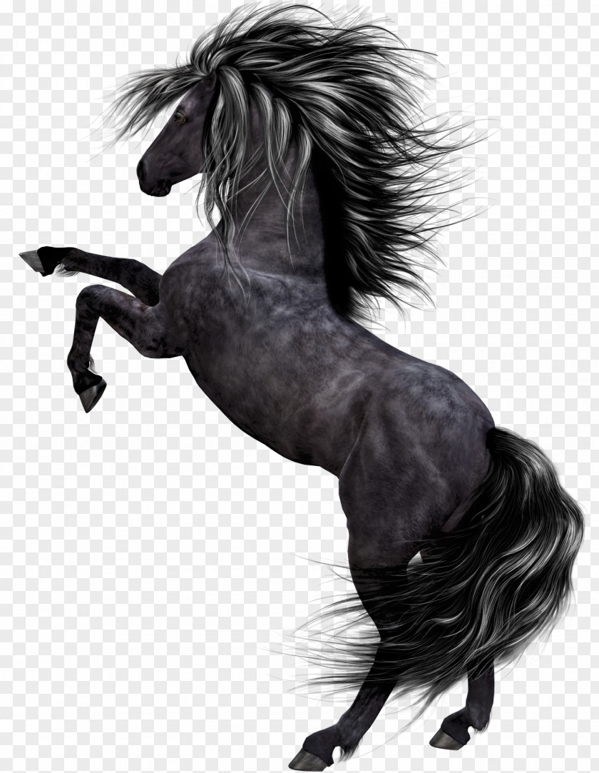 Dark Horse Tutorial PNG