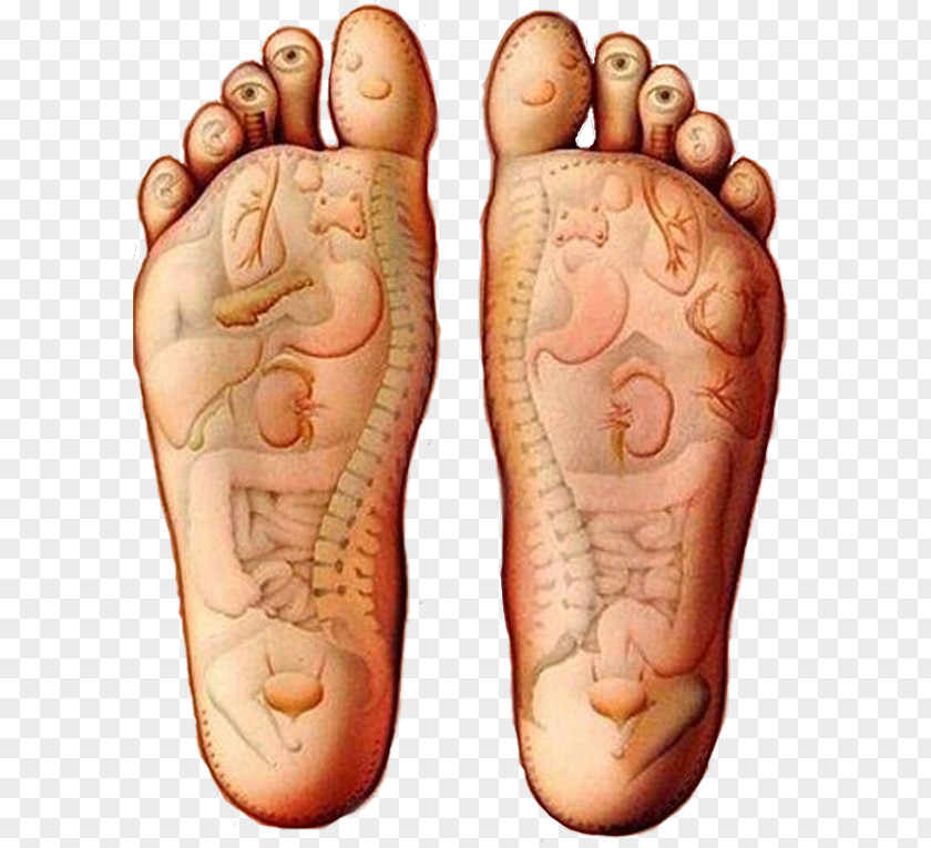 Health Reflexology Massage Foot Alternative Services Acupuncture PNG