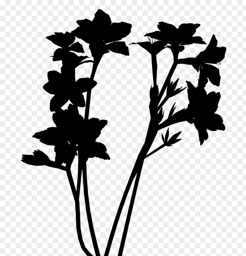 Twig Clip Art Flower Plant Stem Leaf PNG