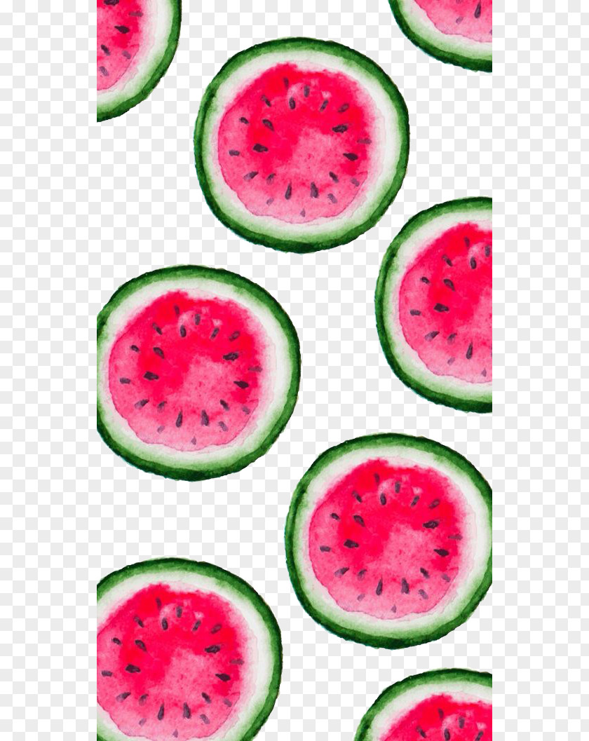 Watermelon IPhone X Summer Fruit Wallpaper PNG