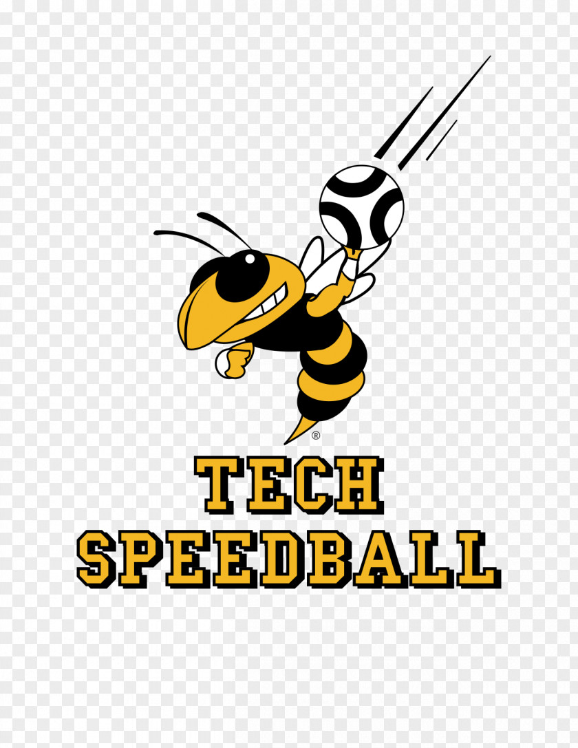 Georgia Tech Honey Bee Yellow Jackets Football Yellowjacket GaTech GA PNG