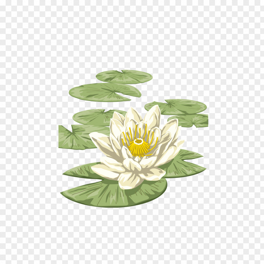 Hand-painted Lily Lilium Graphic Design PNG