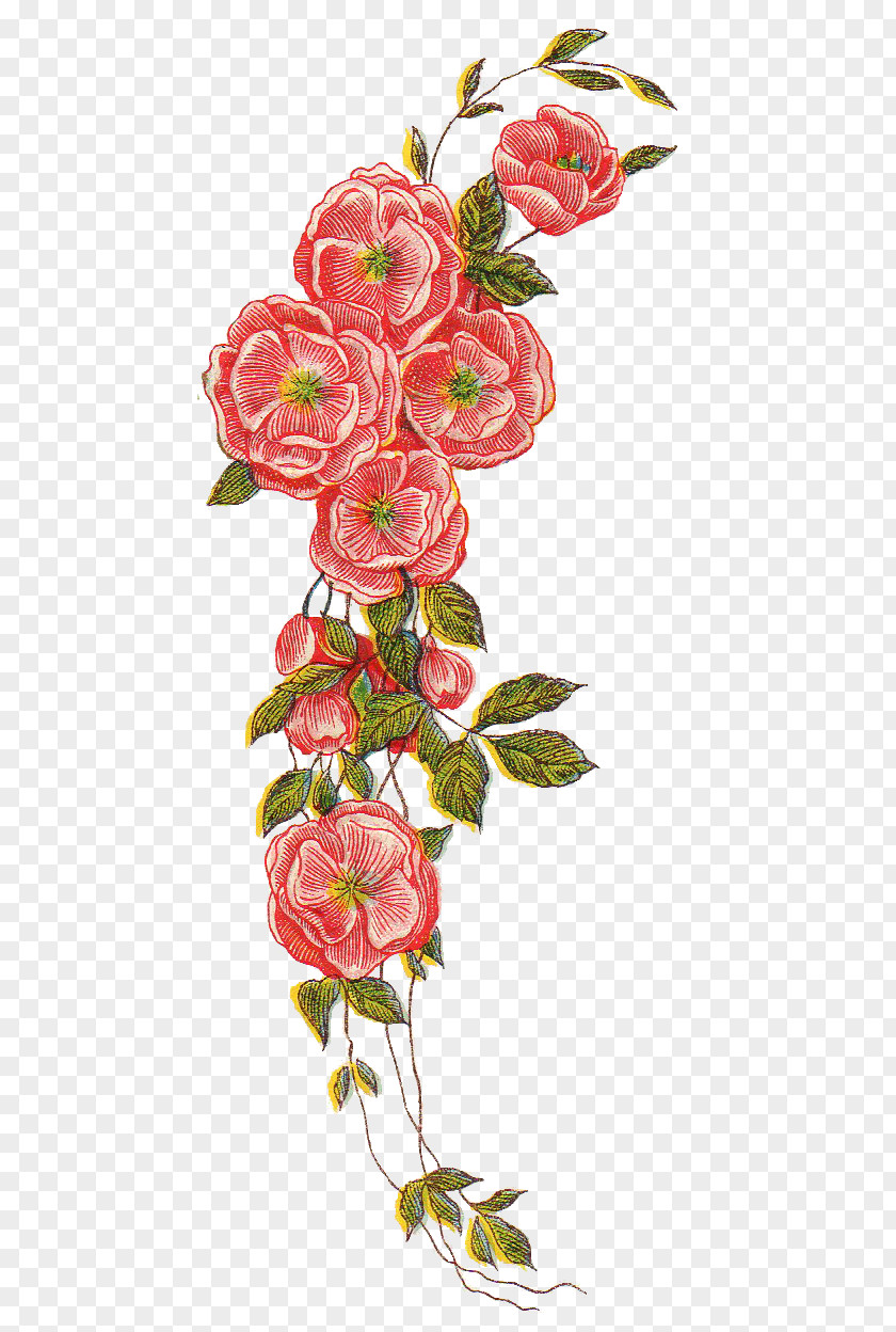Retro Flower Floral Design Clip Art PNG