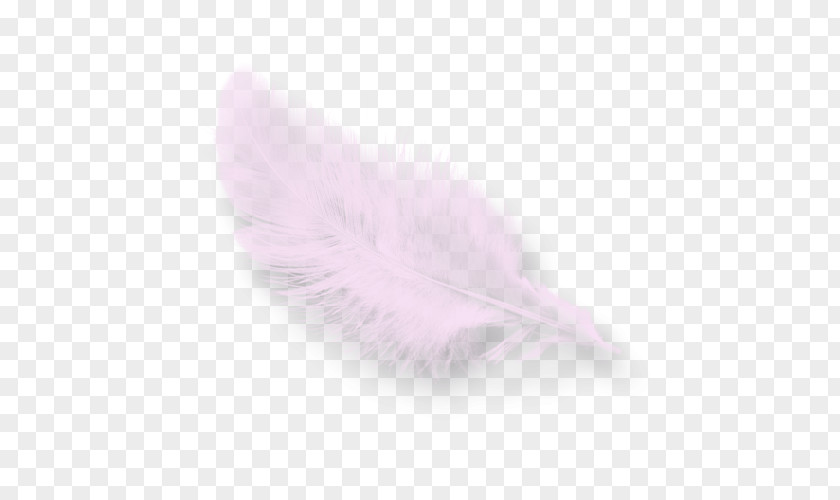 Feather Pink M RTV PNG