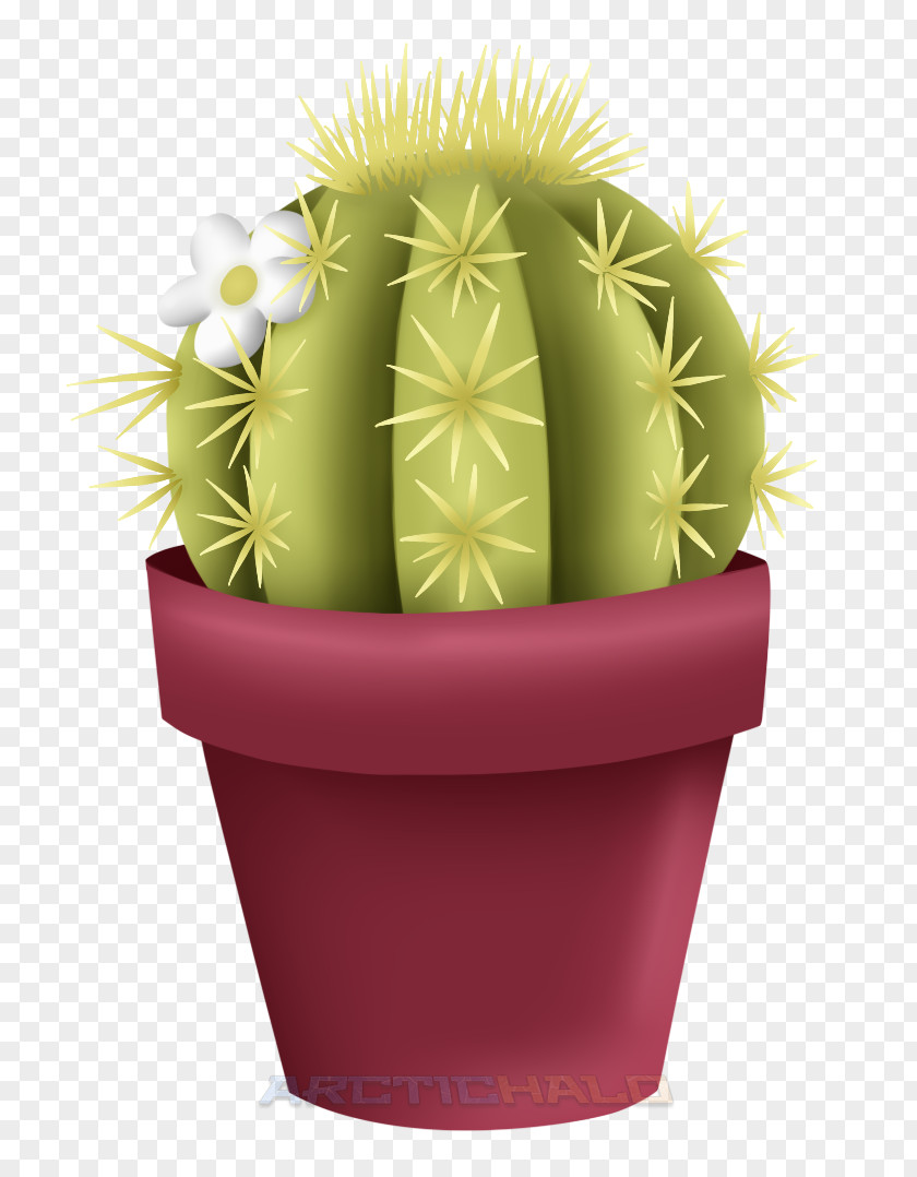 Flower Flowerpot Strawberry Hedgehog Cactus Cactaceae PNG