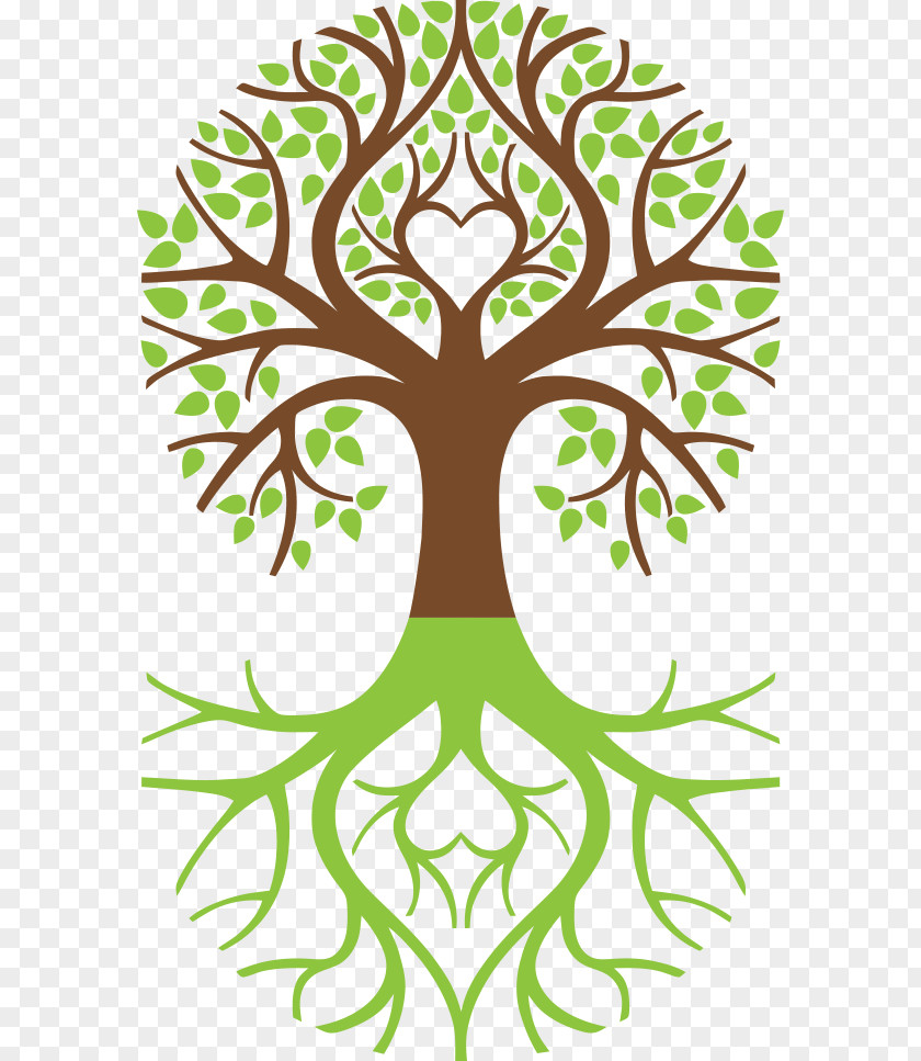 Happiness Images Tree Of Life Symbol Weeping Willow Arborvitae PNG