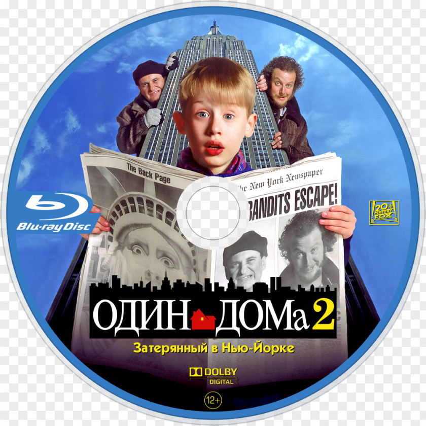 Home Alone 2: Lost In New York Hollywood Daniel Stern Film PNG