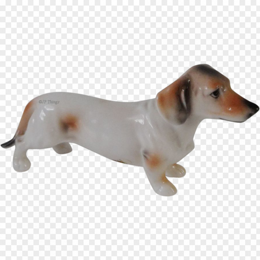 Puppy Dog Breed Companion Snout PNG