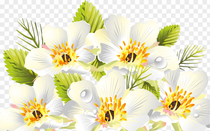 Spring Flower Clip Art PNG