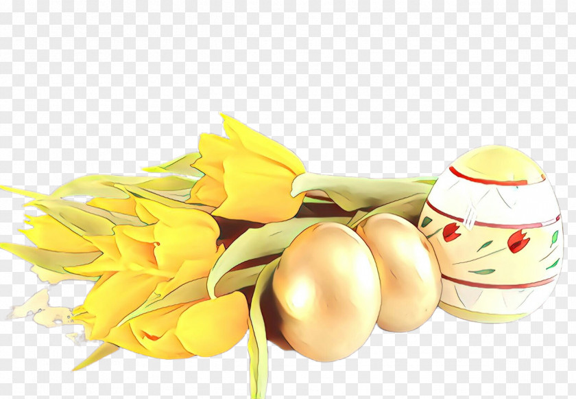 Yellow Plant Tulip Flower Cut Flowers PNG