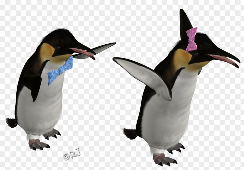 Bits And Pieces King Penguin Beak PNG
